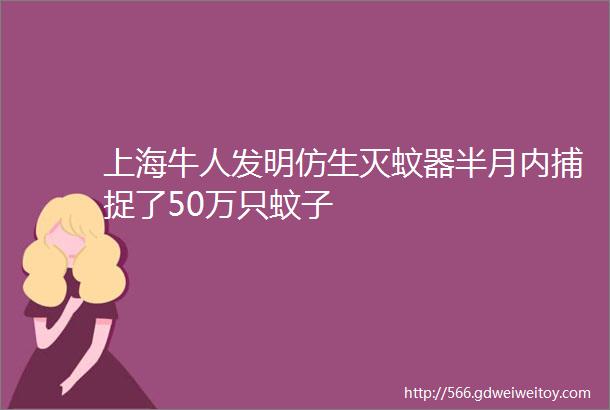 上海牛人发明仿生灭蚊器半月内捕捉了50万只蚊子